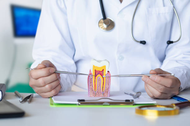 Best Emergency Tooth Extraction in Montevideo, MN